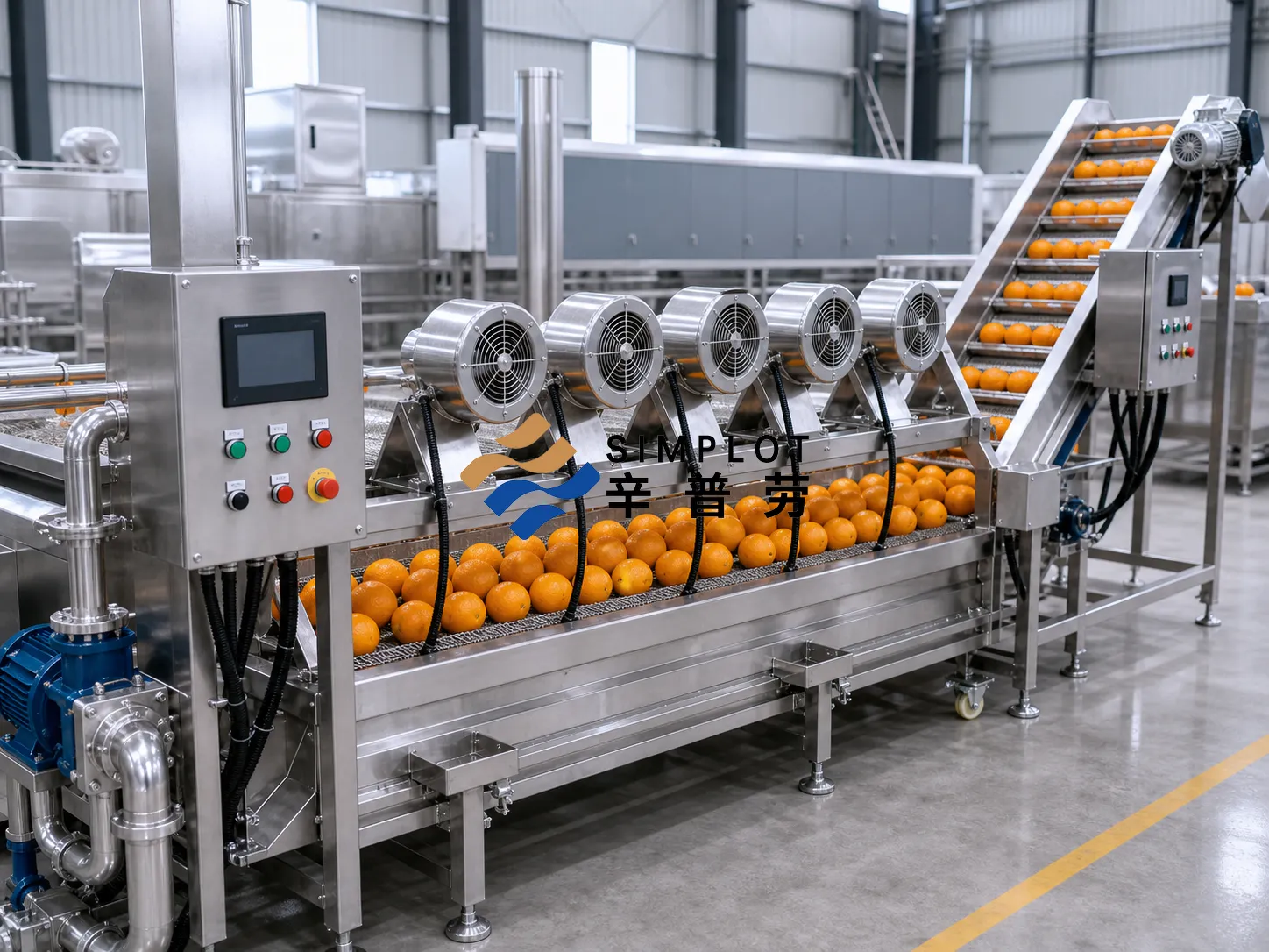 Orange Washing Processing Line