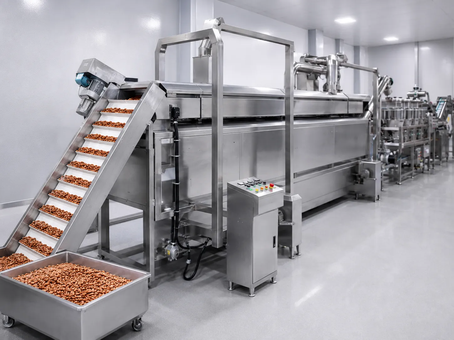 Peanut Frying Production Line