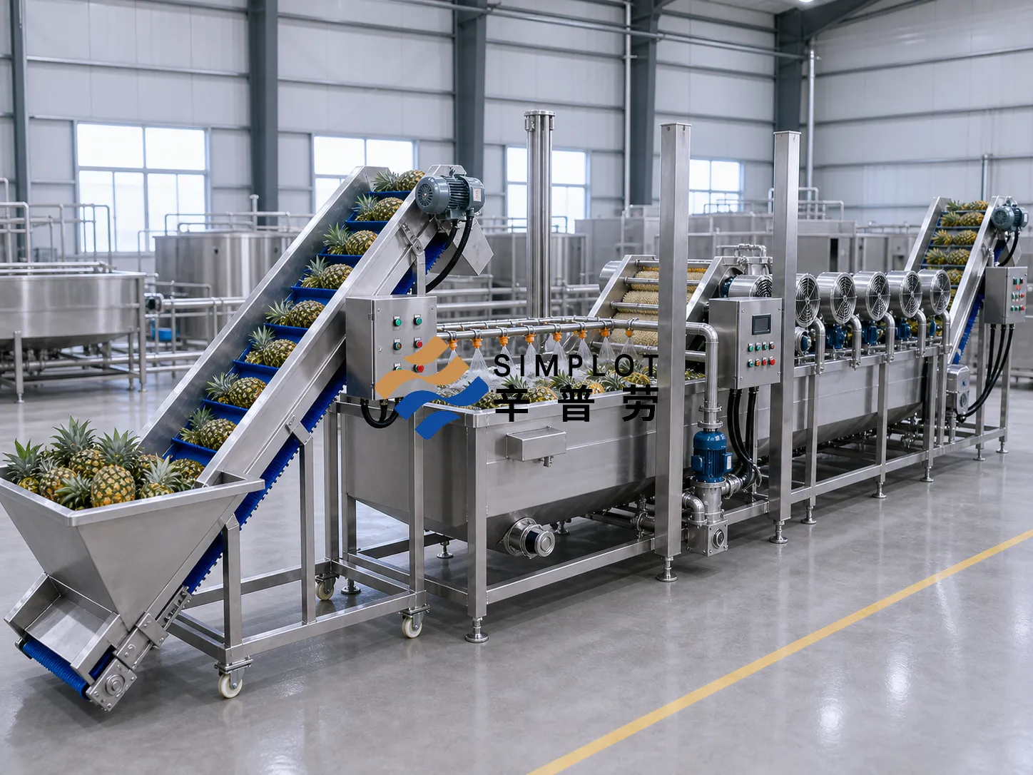 Pineapple Washing Processing Line