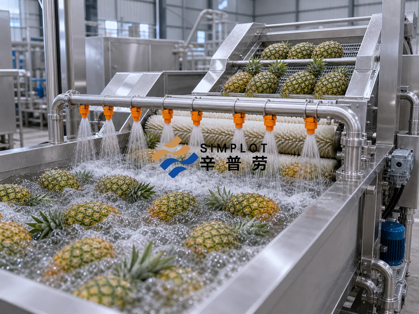 Pineapple Washing Processing Line