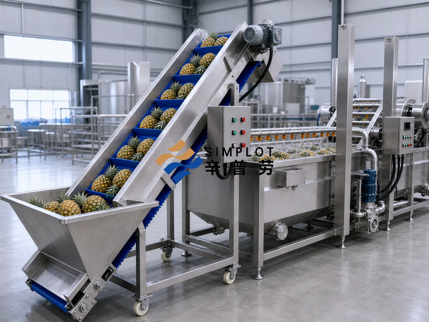 Pineapple Washing Processing Line
