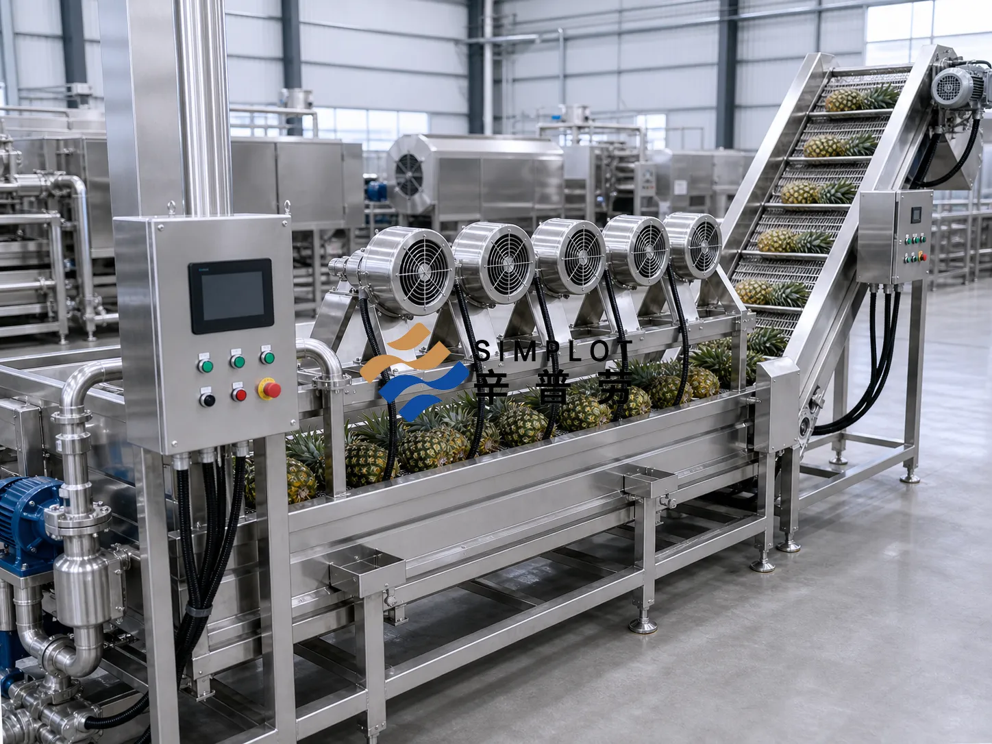 Pineapple Washing Processing Line