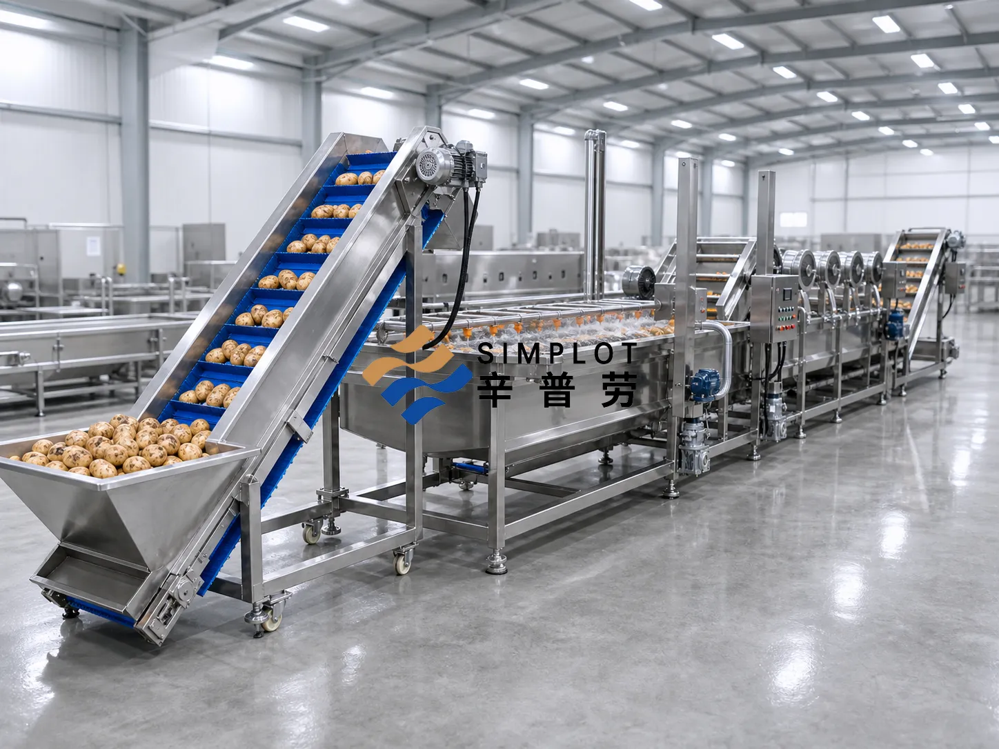 Potato Washing Processing Line