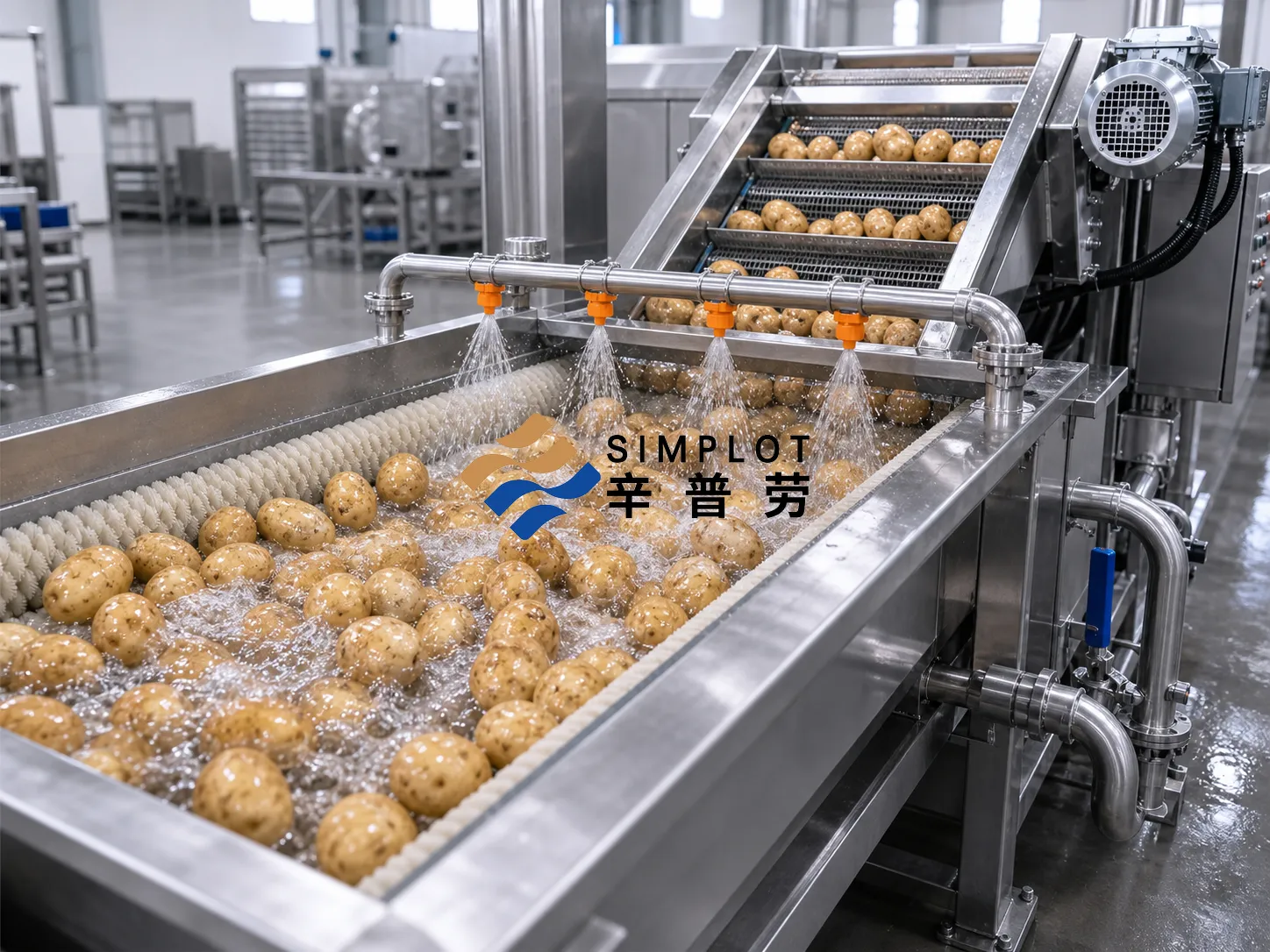Potato Washing Processing Line