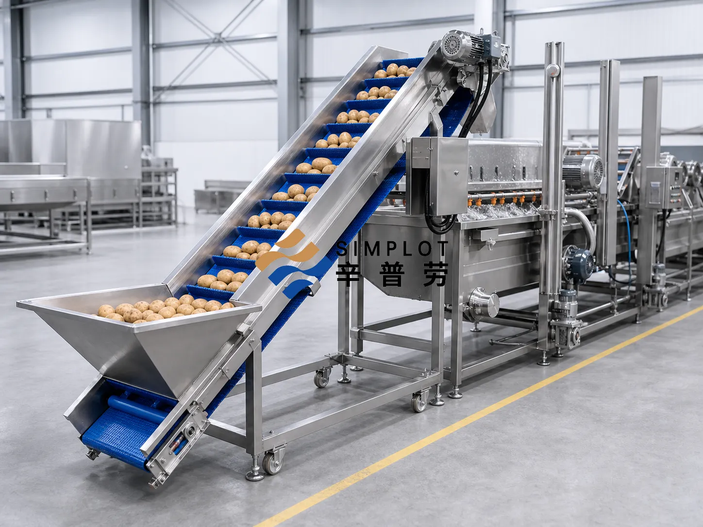 Potato Washing Processing Line