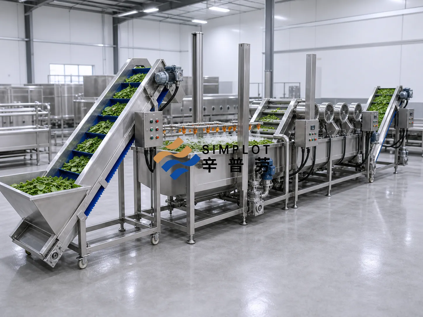 Spinach Washing Processing Line
