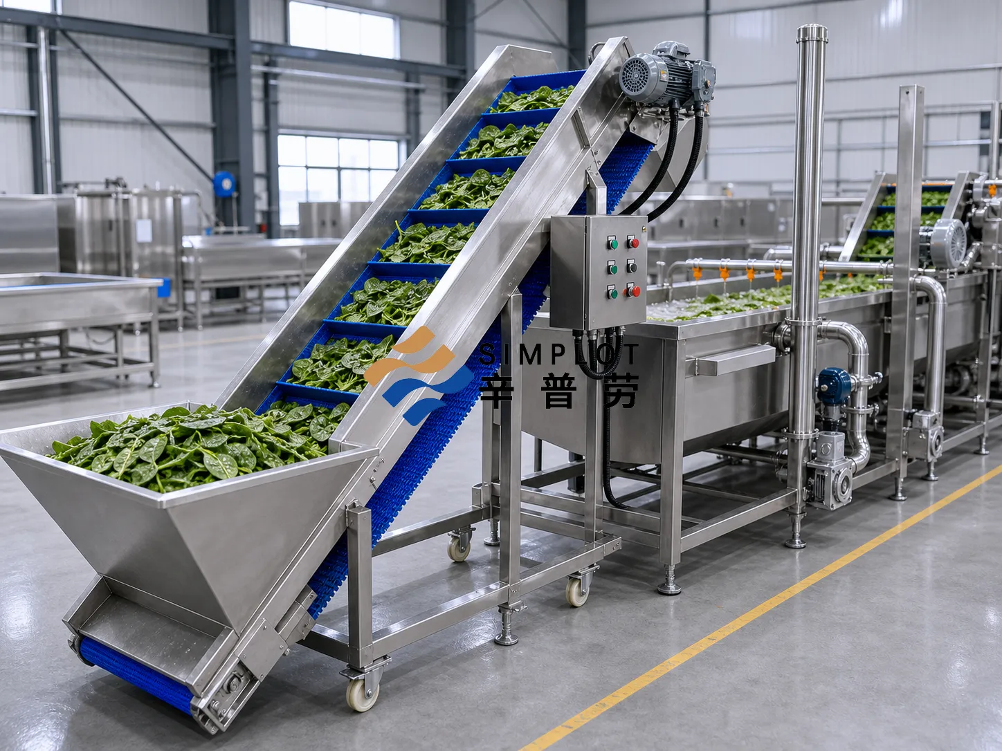 Spinach Washing Processing Line