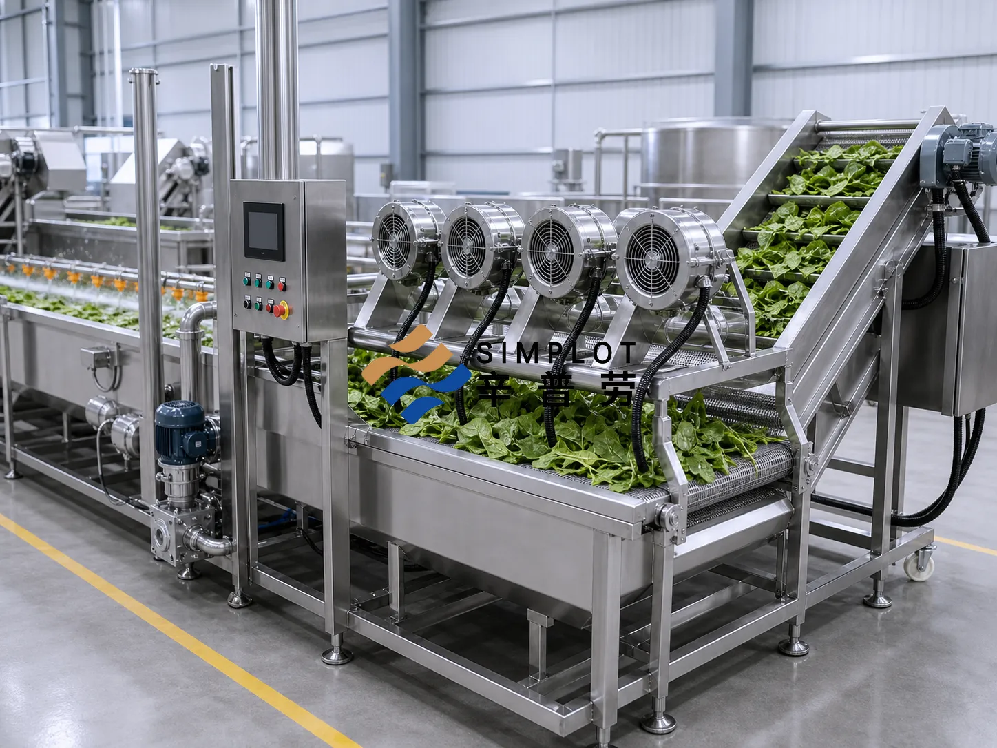 Spinach Washing Processing Line