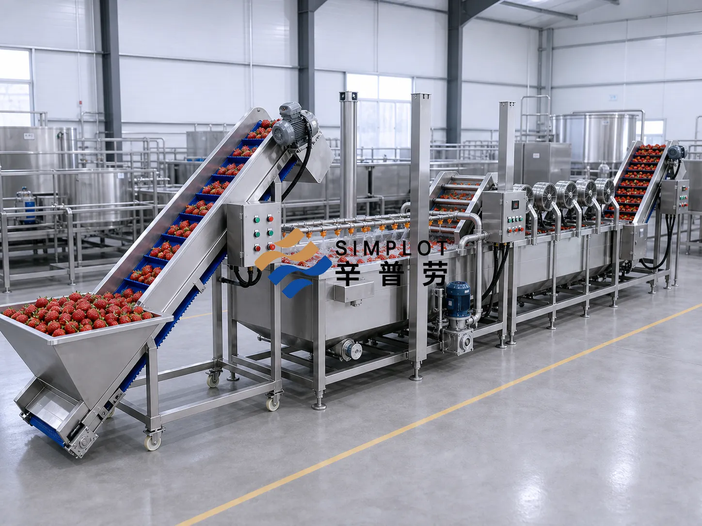 Strawberry Washing Processing Line