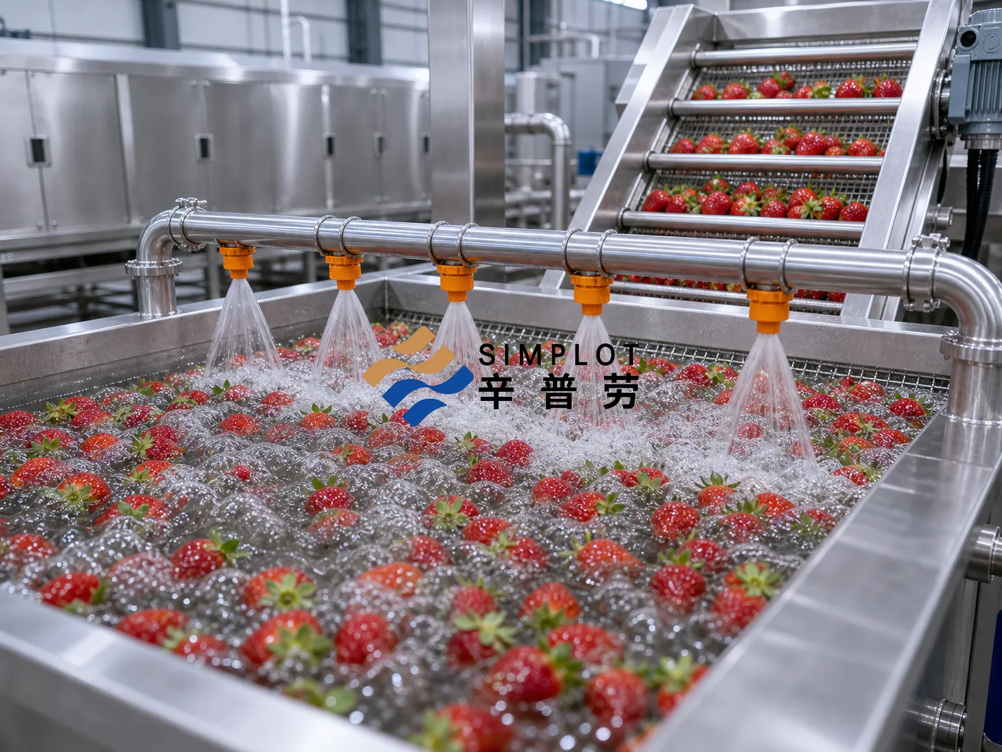 Strawberry Washing Processing Line