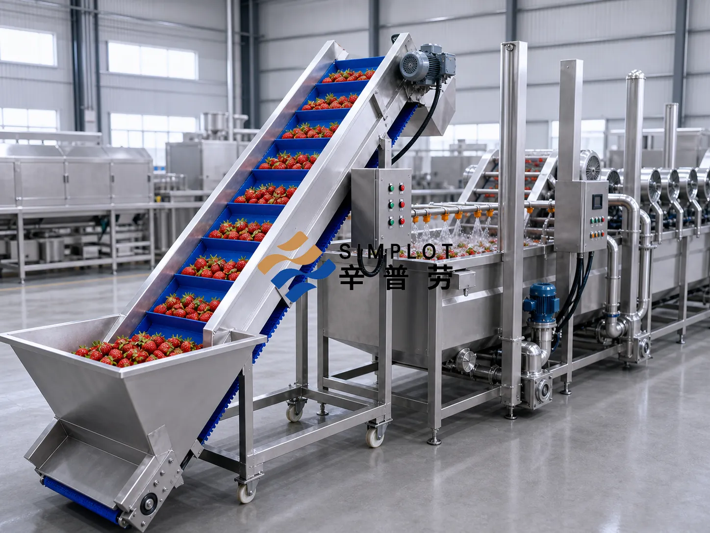 Strawberry Washing Processing Line