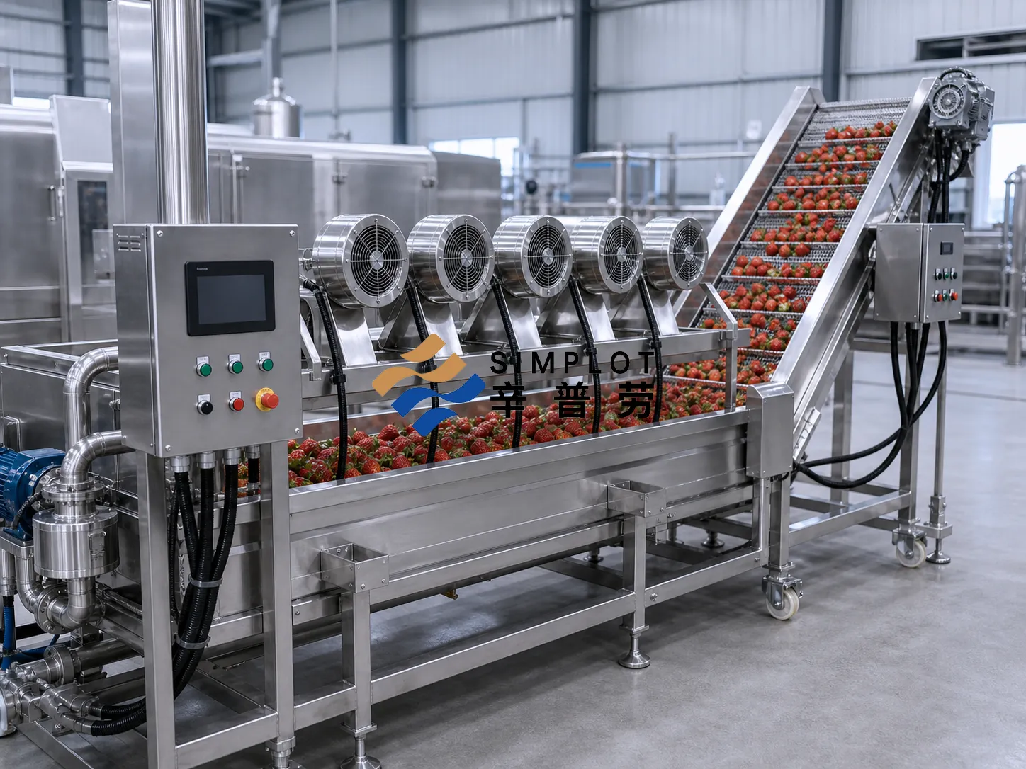 Strawberry Washing Processing Line