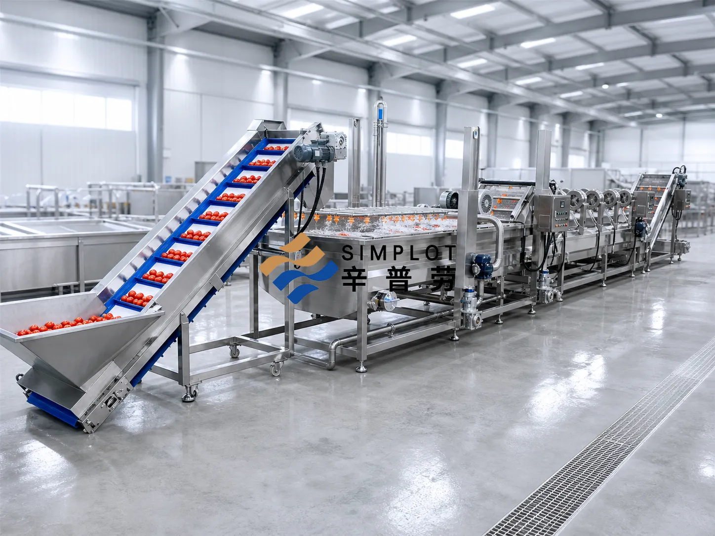 Tomato Washing Processing Line