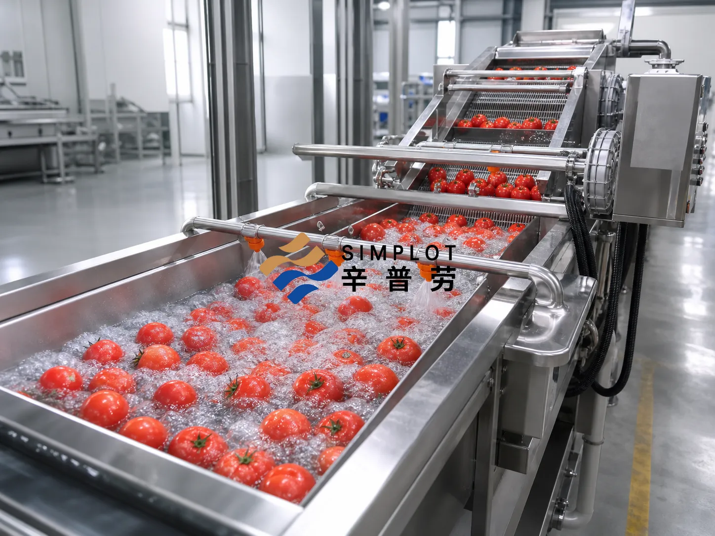 Tomato Washing Processing Line