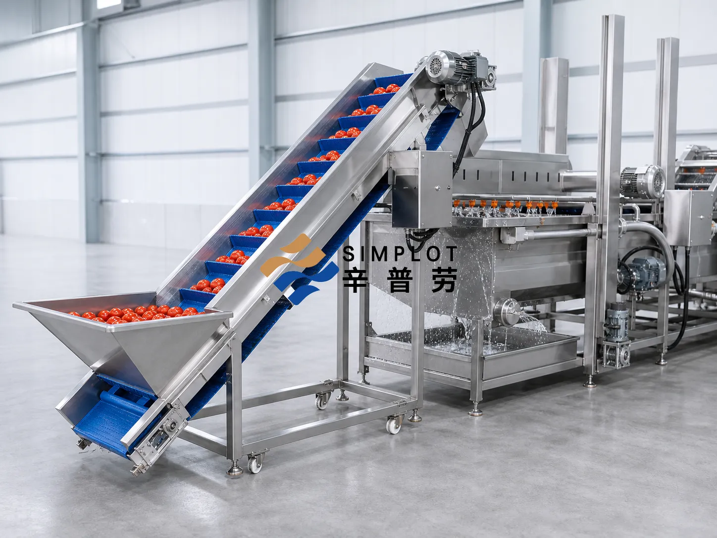 Tomato Washing Processing Line
