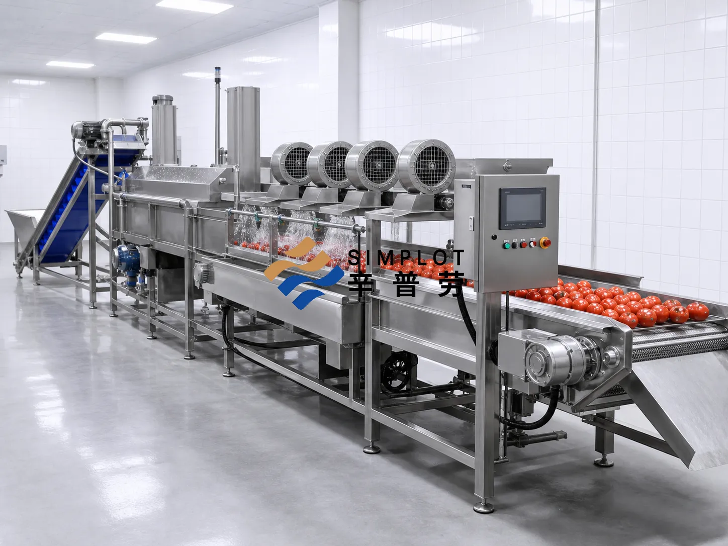 Tomato Washing Processing Line