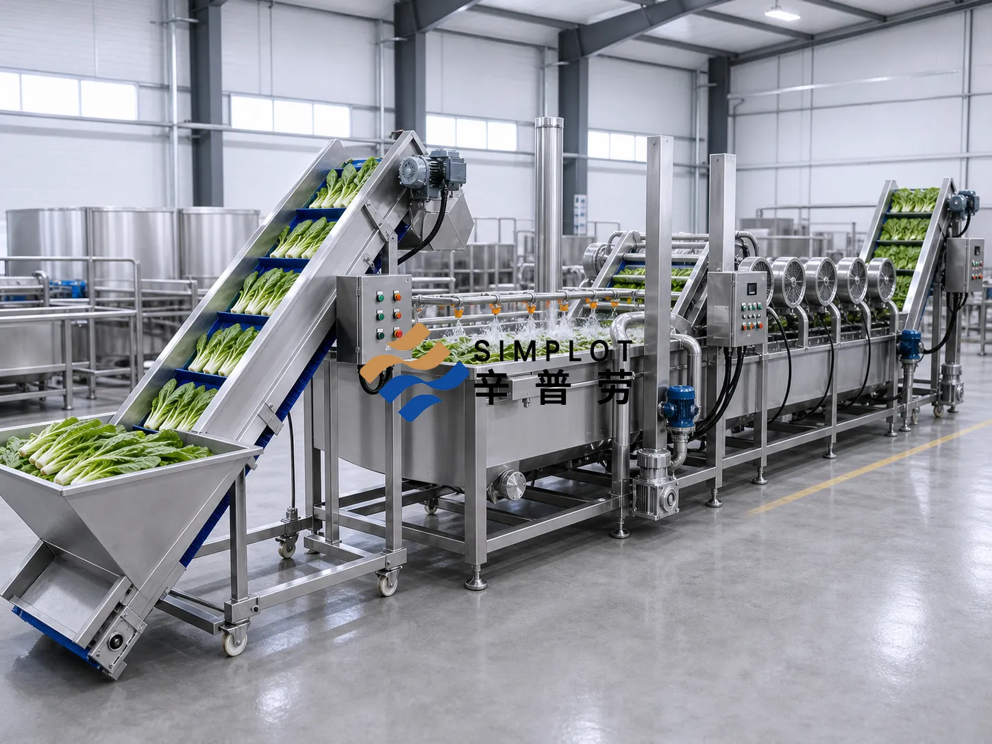 Youmai Lettuce Washing Processing Line