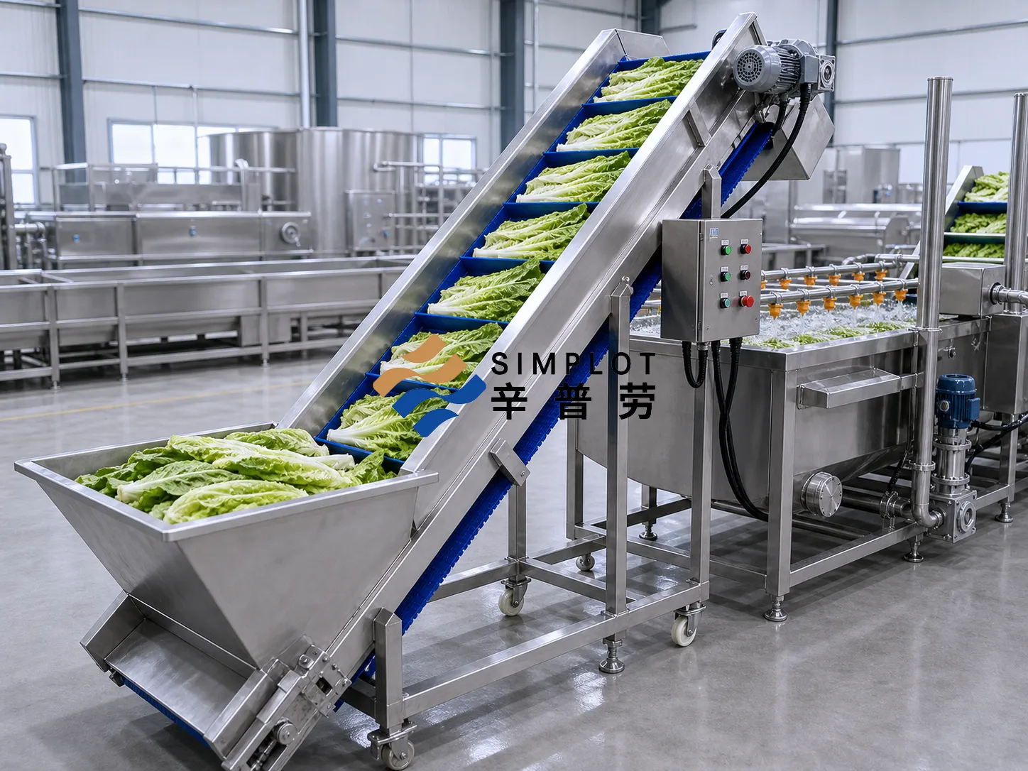 Youmai Lettuce Washing Processing Line