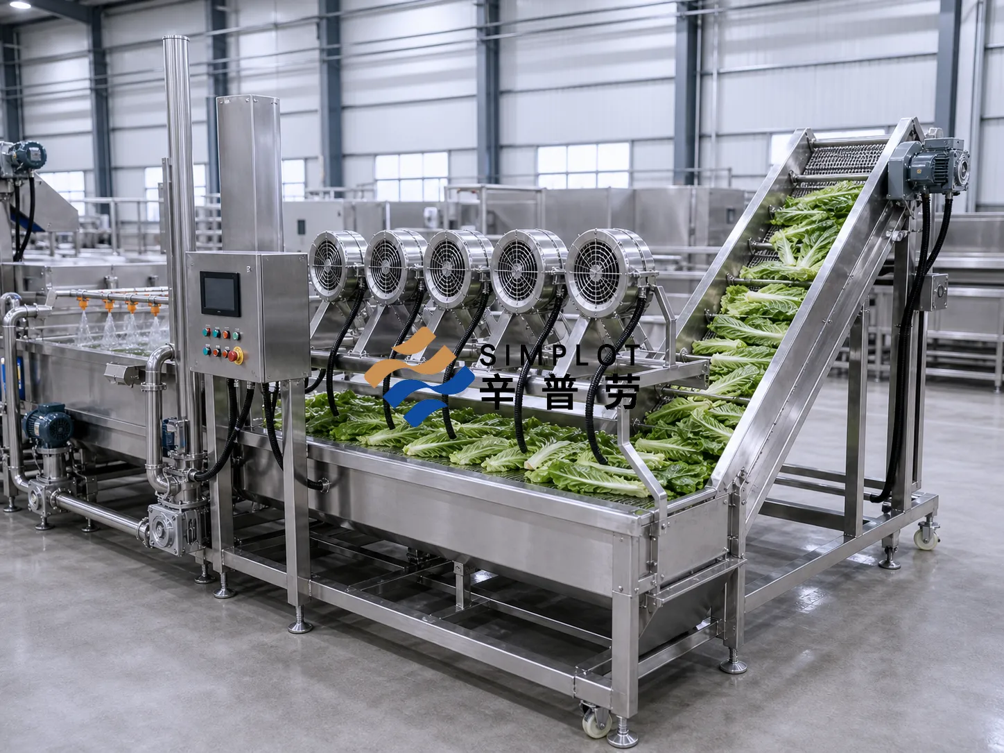Youmai Lettuce Washing Processing Line